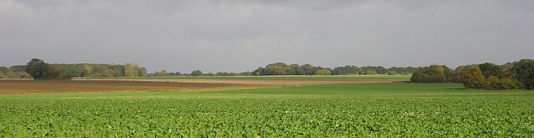 St Margaret South Elmham
