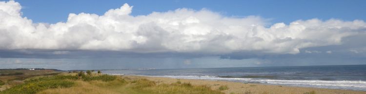 Dunwich Heath Eels Foot
