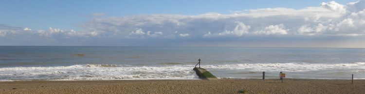Dunwich Heath Eels Foot