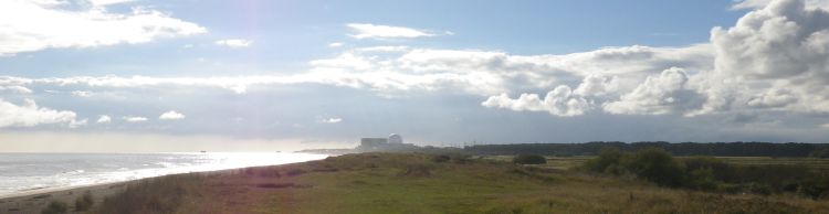 Dunwich Heath Eels Foot