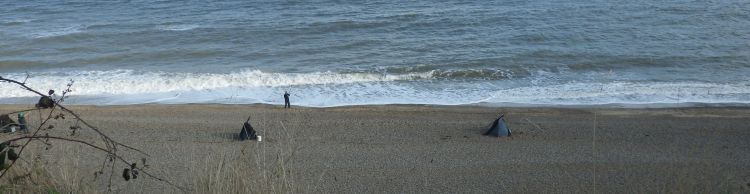 Dunwich Heath Eels Foot