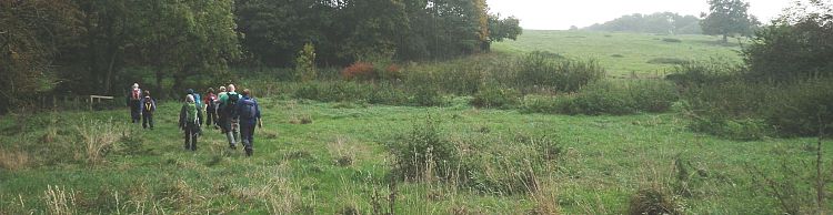 Harleston and Weybread