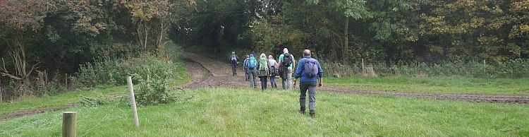 Harleston and Weybread