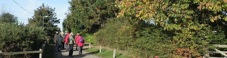 Knodishall Common Sandlings Way and Hundred River Area