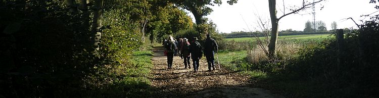 Knodishall Common Sandlings Way and Hundred River Area