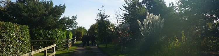 Knodishall Common Sandlings Way and Hundred River Area
