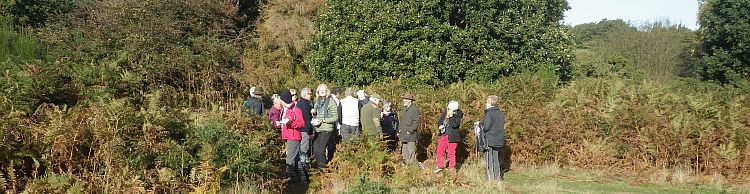 Knodishall Common Sandlings Way and Hundred River Area
