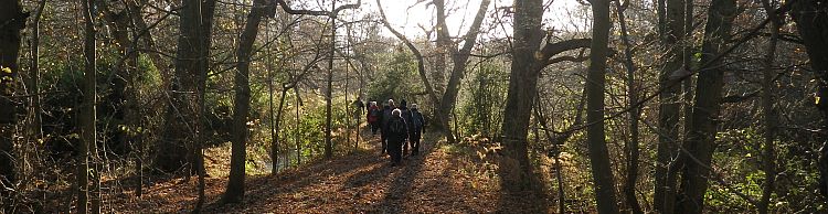 Fritton and Lound Area