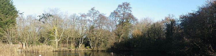 Fritton and Lound Area