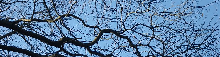 Fritton and Lound Area