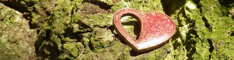 Fritton and Lound Area