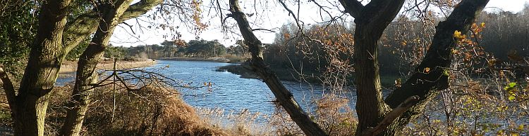 Fritton and Lound Area