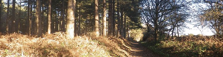 Fritton and Lound Area