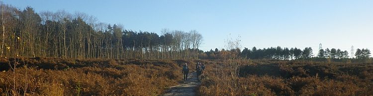 Fritton and Lound Area