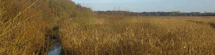 Thorpeness and Sizewell