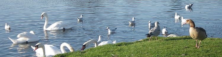 Thorpeness and Sizewell