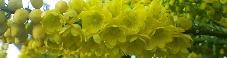 Thorpeness and Sizewell