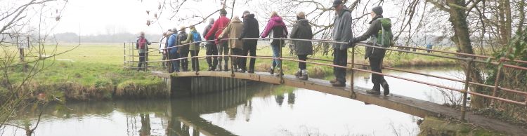 Outney Common and Bungay