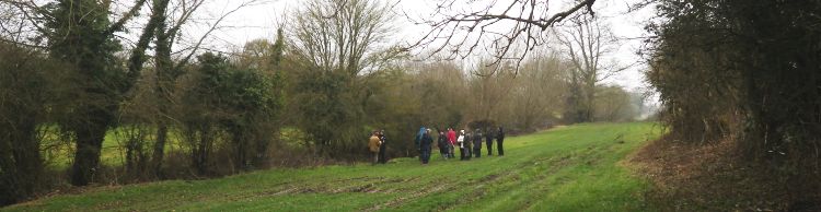 St Margaret and St Cross Area