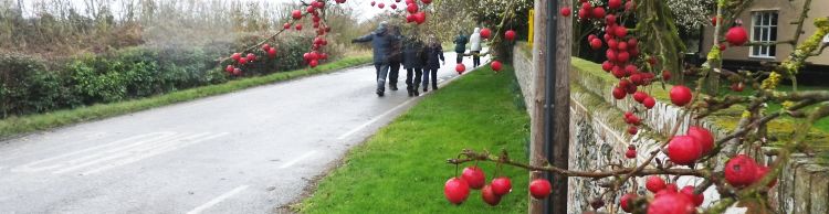 St Margaret and St Cross Area