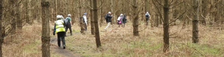 Tunstall Forest and Viking Trail