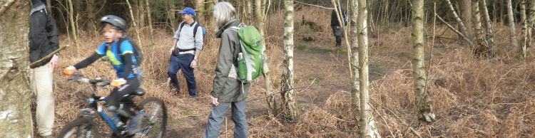 Tunstall Forest and Viking Trail