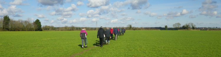 Brooke and Howe Area