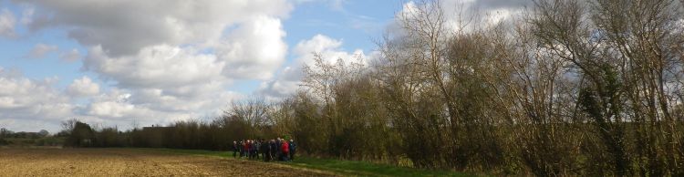 Brooke and Howe Area