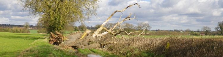 Brooke and Howe Area