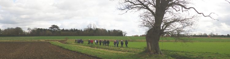 Brooke and Howe Area