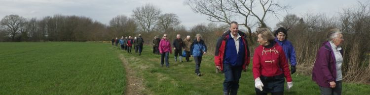 Brockdish and Angles Way