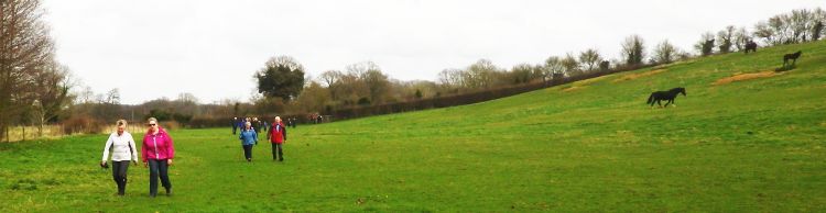 Brockdish and Angles Way