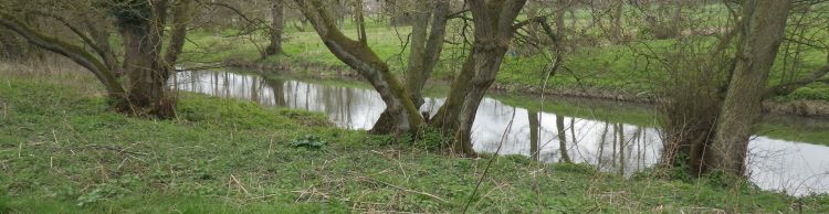 Brockdish and Angles Way