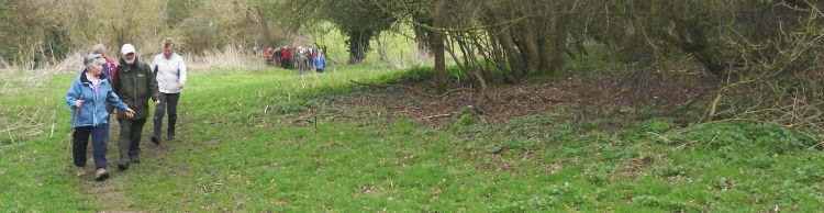 Brockdish and Angles Way