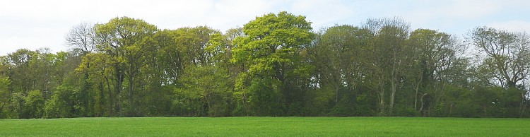 Somerleyton and Blundeston