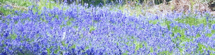 Somerleyton and Blundeston