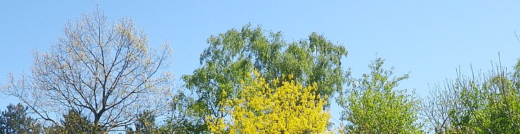 Westleton and Black Slough Area