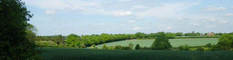 Homersfield and Alburgh