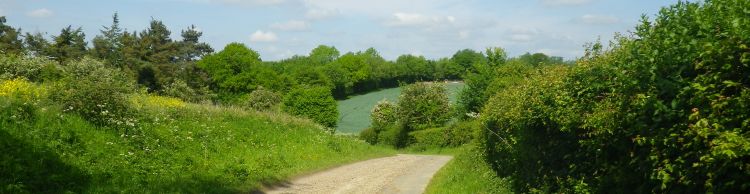 Homersfield and Alburgh