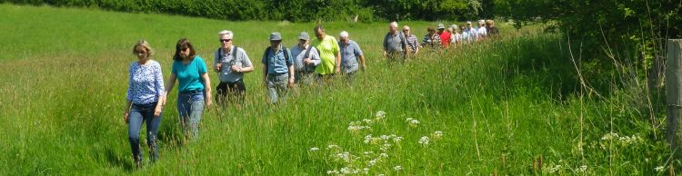 Homersfield and Alburgh