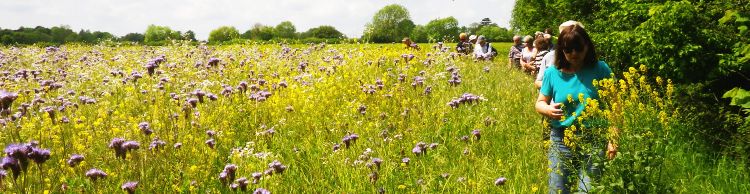 Homersfield and Alburgh