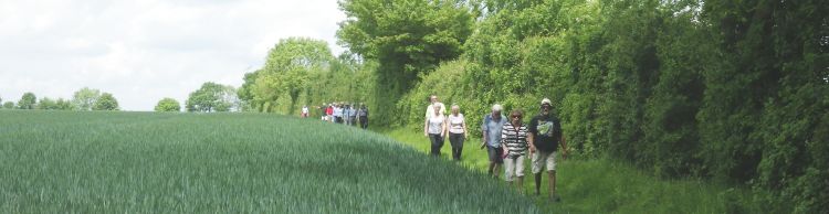 Homersfield and Alburgh