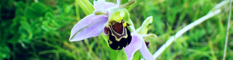 Norwich Group at Acle