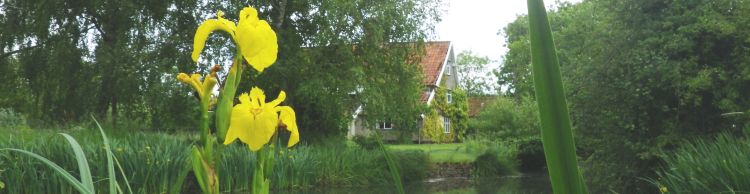 St Margaret South Elmham Walk