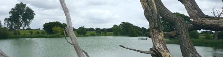 St Margaret South Elmham Walk