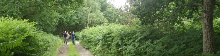 Westleton Dunwich Eastbridge