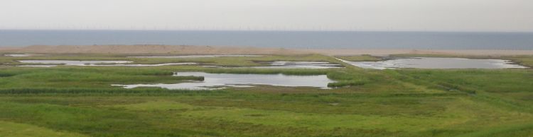 Stiffkey to Salthouse