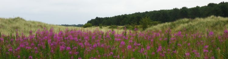 Wells to Burnham Deepdale