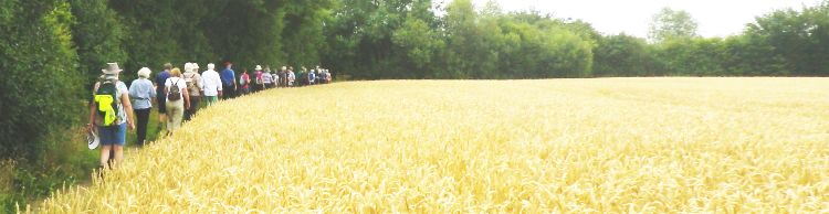 Four Horseshoes Thornam Magna