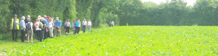 Four Horseshoes Thornam Magna